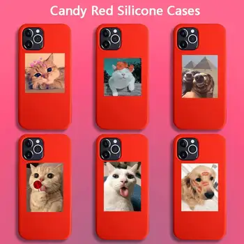 Gudrs Kaķis Modes Dzīvnieku Tālrunis Lietā par iPhone 12 pro max mini 11 pro XS MAX 8 7 6 6S Plus X 5S SE 2020. GADAM XR sarkanā gadījumā